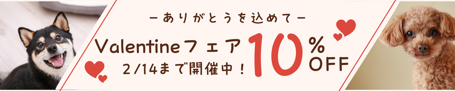 バレンタインフェア開催_バナー画像