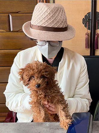 北海道江別市のトイプードルの子犬