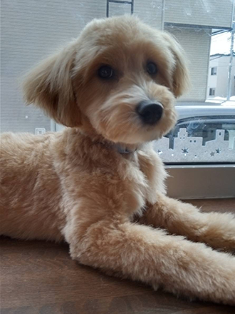 北海道江別市のマルプー