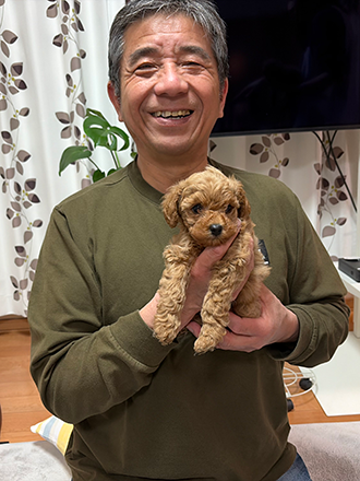 北海道千歳市のトイプードルの子犬